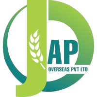 JAP Overseas Pvt Ltd logo